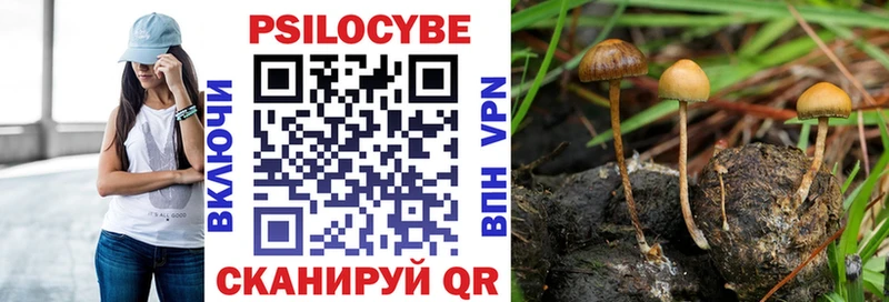 закладка  Чебоксары  Галлюциногенные грибы Magic Shrooms 